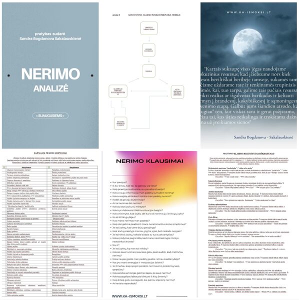 NERIMO ANALIZĖ pdf